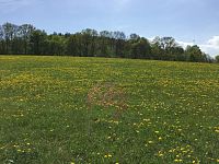 Prodej pozemků k bydlení - IMG_8026.JPG