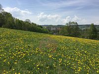 Prodej pozemků k bydlení - IMG_8030.JPG