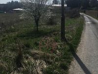 Pozemky pro výstavbu - IMG_3600.JPG