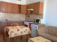 Pronájem bytu o dispozici 1+1 - b9e3a2b8-c520-429e-905c-be19d634af2f.JPG