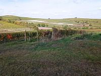 Pozemek určený k výsadbě vinice v Dolních Dunajovicích - IMG_20231017_130342.jpg