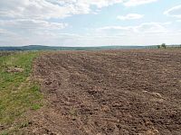 Slunná vinice s výheldem na Nesyt v obci Sedlec - IMG_20250512_153056.jpg