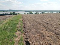 Slunná vinice s výheldem na Nesyt v obci Sedlec - IMG_20250512_153208.jpg