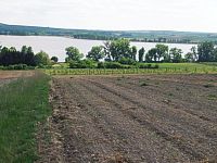 Slunná vinice s výheldem na Nesyt v obci Sedlec - IMG_20250512_153248.jpg