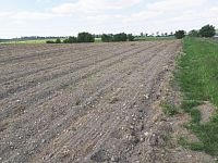 Slunná vinice s výheldem na Nesyt v obci Sedlec - IMG_20250512_153312.jpg