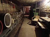 Řadový rodinný dům s garáží, vinným sklepem a rozlehlou zahradou v obci Dobré Pole. - IMG_20250610_152024.jpg