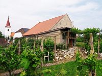 Řadový rodinný dům s garáží, vinným sklepem a rozlehlou zahradou v obci Dobré Pole. - IMG_20250610_152705.jpg