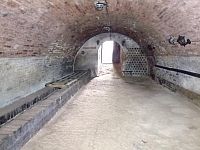 Tradiční vinný sklep s nástavbou v obci Brod nad Dyjí - IMG_20240228_133539.jpg