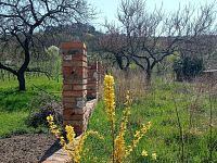 Stavební pozemek na úpatí Svatého kopečku v Mikulově. - IMG_20250409_131451.jpg