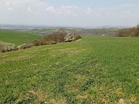 Prodej vinic v atraktivních lokalitách v obci Velké Němčice - IMG_20210421_115505.jpg