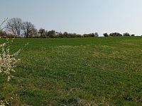 Prodej vinic v atraktivních lokalitách v obci Velké Němčice - IMG_20210421_120207.jpg