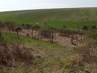 Prodej vinic v atraktivních lokalitách v obci Velké Němčice - IMG_20210421_120412.jpg