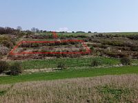 Prodej vinic v atraktivních lokalitách v obci Velké Němčice - IMG_20210421_120701.jpg