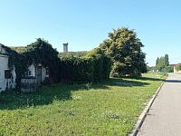 Vinný sklep s pozemkem ve vinařské uličce v Novosedlech - IMG_20250805_092519.jpg