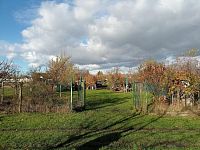 Stavební pozemek v klidné části obce Dolní Dunajovice - IMG_20251103_140823.jpg