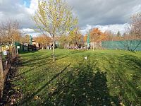 Stavební pozemek v klidné části obce Dolní Dunajovice - IMG_20251103_141017.jpg