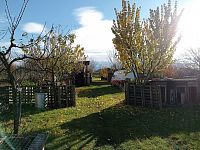 Stavební pozemek v klidné části obce Dolní Dunajovice - IMG_20251103_141803.jpg