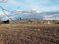 Stavební pozemek v klidné části obce Dolní Dunajovice - IMG_20251103_143340.jpg