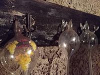 Vinný sklep s lisovnou a nástavbou v Drnholci - IMG_20251118_114834.jpg