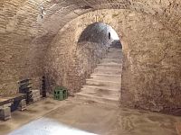 Vinný sklep s lisovnou a nástavbou v Drnholci - IMG_20251118_114843.jpg