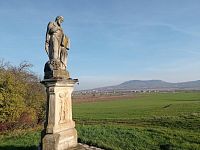 Registrovaná vinice o výměře 6073 m2 v Dolních Dunajovicích - IMG_20241125_104351.jpg