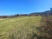 Prodej zahrádek v blízkosti přírodní rezervace Turold v Mikulově. - IMG_0254.jpg