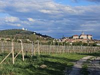 Svažitá vinice na okraji Mikulova s dobrou dostupností a krásnými výhledy.