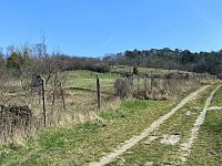 Zahrádka v klidné lokalitě, v blízkosti oblíbené přírodní rezervace Turold v Mikulově - IMG_0249.jpg