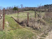 Zahrádka v klidné lokalitě, v blízkosti oblíbené přírodní rezervace Turold v Mikulově - IMG_0250.jpg