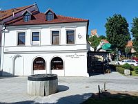 Pronájem unikátního bytu 4+kk v centru Mikulova - IMG_20220519_154707.jpg