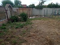 Rodinný dům s rozlehlou zahradou v centru městyse Drnholec. - IMG_20260617_150352.jpg
