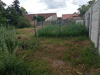 Rodinný dům s rozlehlou zahradou v centru městyse Drnholec. - IMG_20260617_150438.jpg