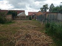 Rodinný dům s rozlehlou zahradou v centru městyse Drnholec. - IMG_20260617_150451.jpg