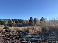 Stavební pozemek Světlik - bez sítí - IMG_7435.jpeg