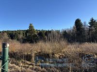 Stavební pozemek Světlik - klidné místo pro rekreace či bydlení - IMG_7431.jpeg