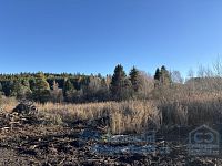 Stavební pozemek Světlik - klidné místo pro rekreace či bydlení - IMG_7435.jpeg