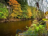 Stavební pozemek 840 m² u řeky Malše – Kaplice, klid a příroda - Kaplice_pozemek_26.jpg