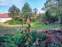 Prodej zemědělské usedlosti s pozemky v obci Malenovice u Suchdola na Kutnohorsku - 11.jpg