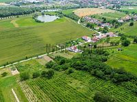 Pozemek 3395 m2 Bořetice, Hustopeče - 3.JPG