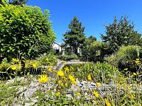 Bungalov 4+kk s velkým pozemkem Babice nad Svitavou - 15L.JPG