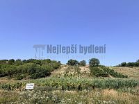 Pozemek 3395 m2 Bořetice, Hustopeče - 3.JPG
