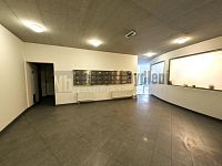 Pronájem 2+kk Křídlovická, Staré Brno, Brno-střed - 8.jpg