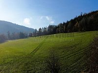 Pozemek 6211 m2 Dolní Loučky - 3.JPG