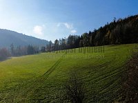 Pozemek 6211 m2 Dolní Loučky - 3.JPG