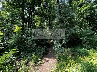 Lesní pozemek Praha-východ Zdiby - IMG_7397.jpg