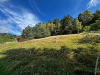 Rodinný dům s vlastním lesem - IMG_8514.jpg
