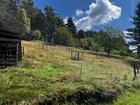 Rodinný dům s vlastním lesem - IMG_8528.jpg