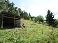 Rodinný dům s rozsáhlými pozemky a vlastním lesem v malebném Podještědí - R63_1406.JPG