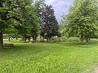 Pozemek stavební a zemědělská půda okr. Rakovník - Jesenice - IMG_2006.jpeg