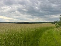 Pozemek stavební a zemědělská půda okr. Rakovník - Jesenice - IMG_2026.jpg